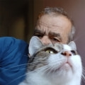 misu1968_2_1828528996.jpg