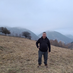 Puternicul