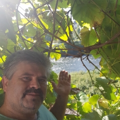 Silviu1212