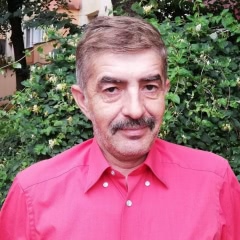 Sorin Driscu
