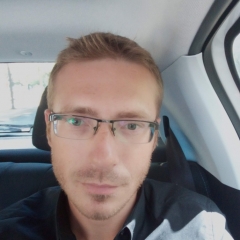 mircea_5da1