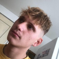robert_d1ce