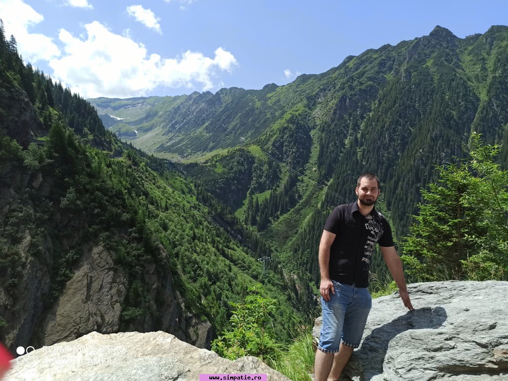 barbati singuri petrila