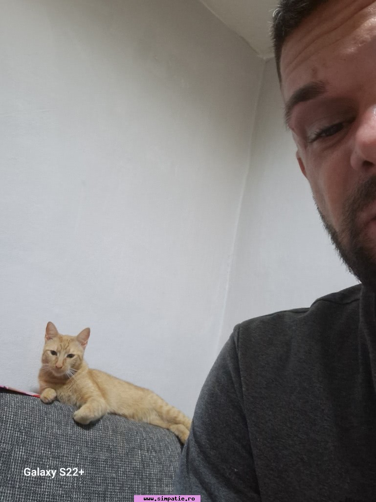 barbati bistrita nasaud