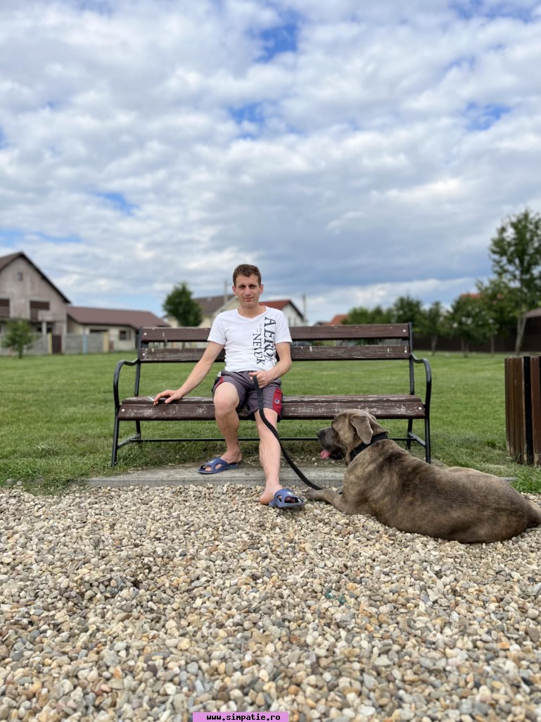 barbati caras severin