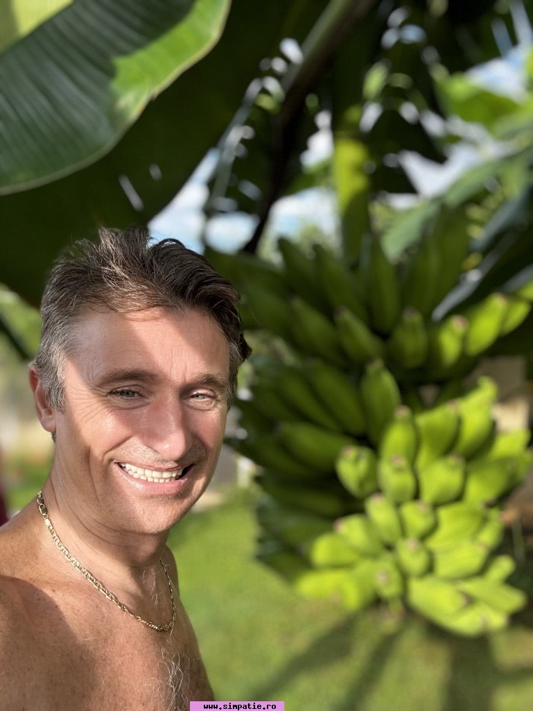 chat online fara cont