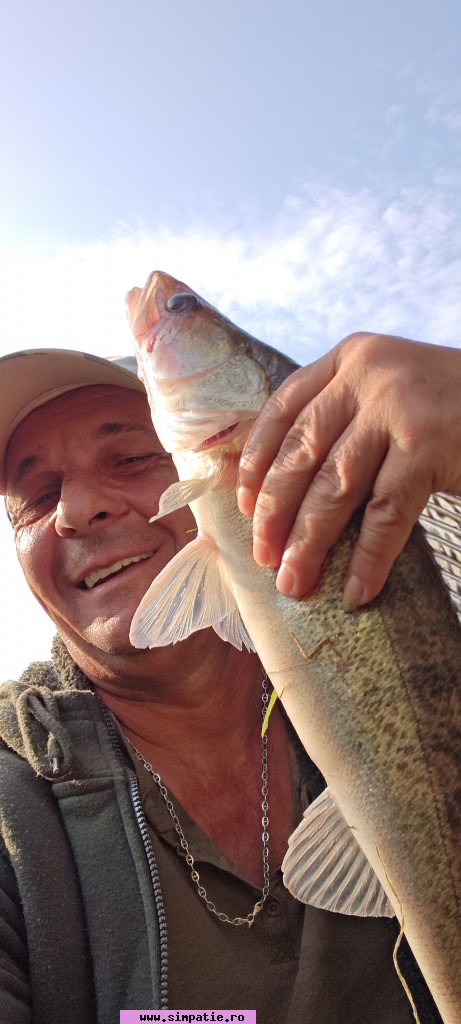 barbati bistrita nasaud