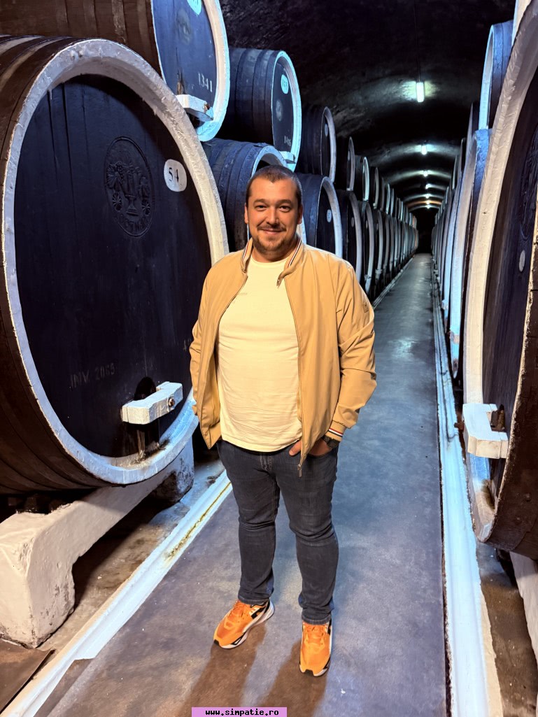 barbati singuri harlau