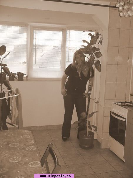 socializare persoane singure