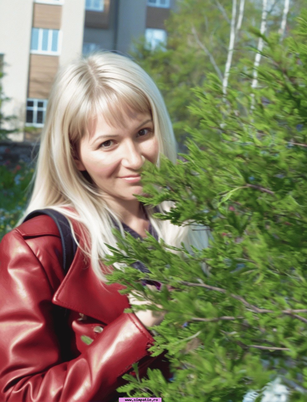 curve ieftine eforie