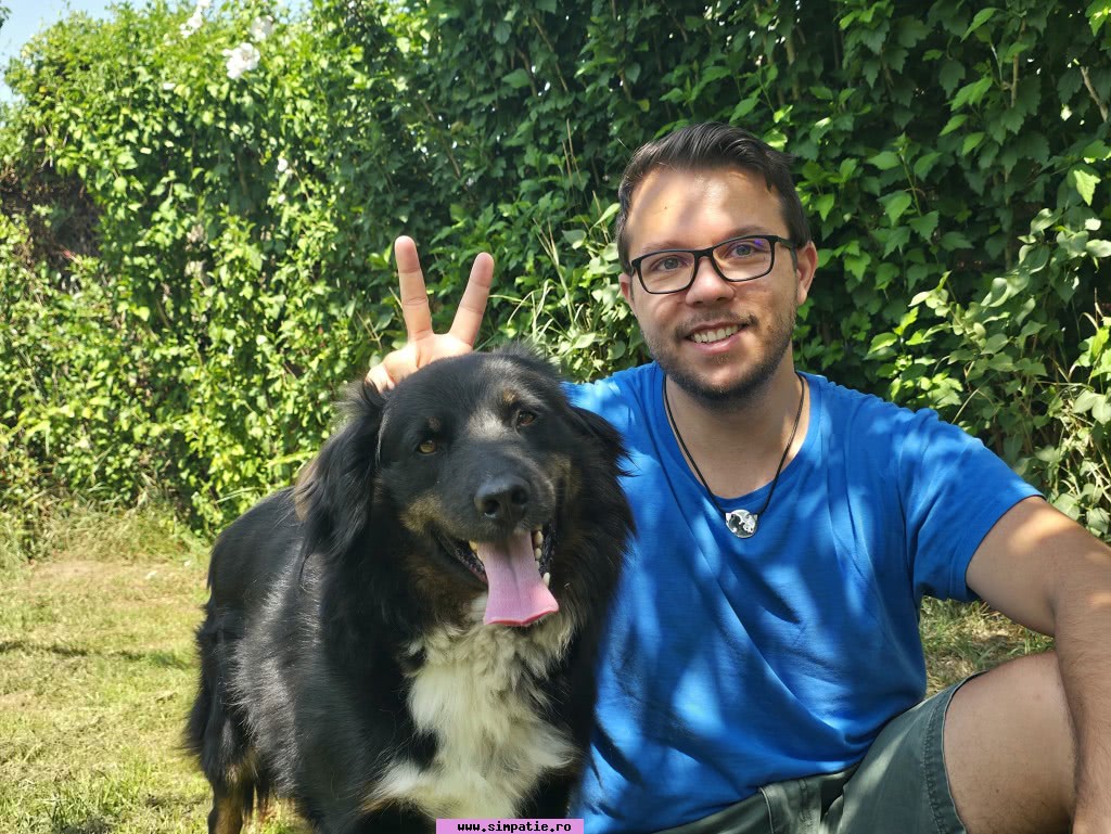 barbati singuri lugoj