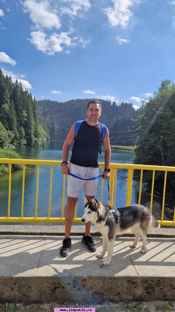 matrimoniale barbati sector 1