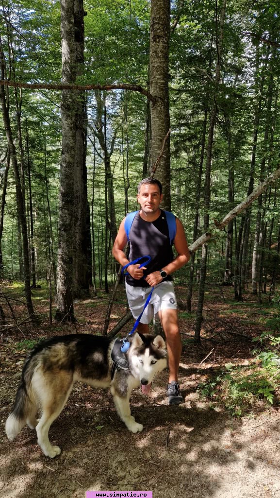 barbati singuri sector 2