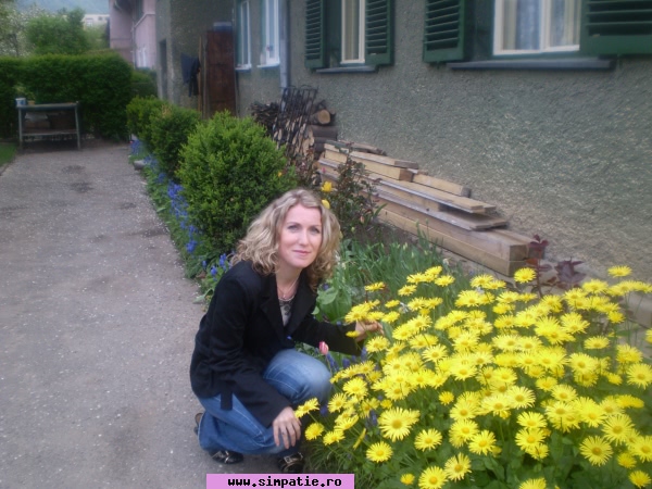 curve ieftine codlea