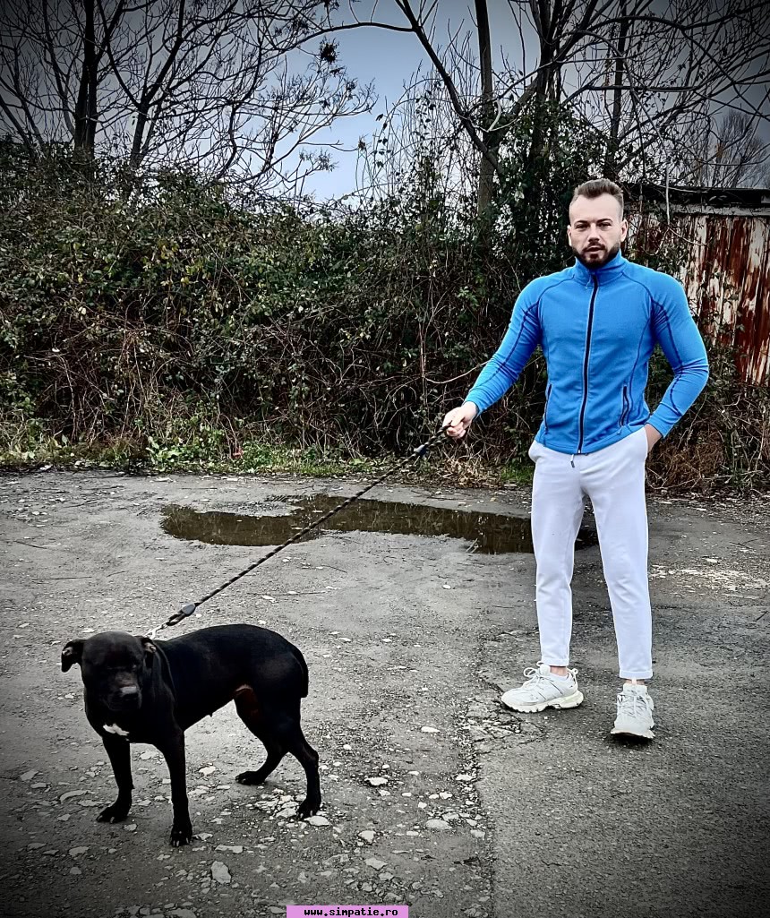 matrimoniale barbati cernavoda