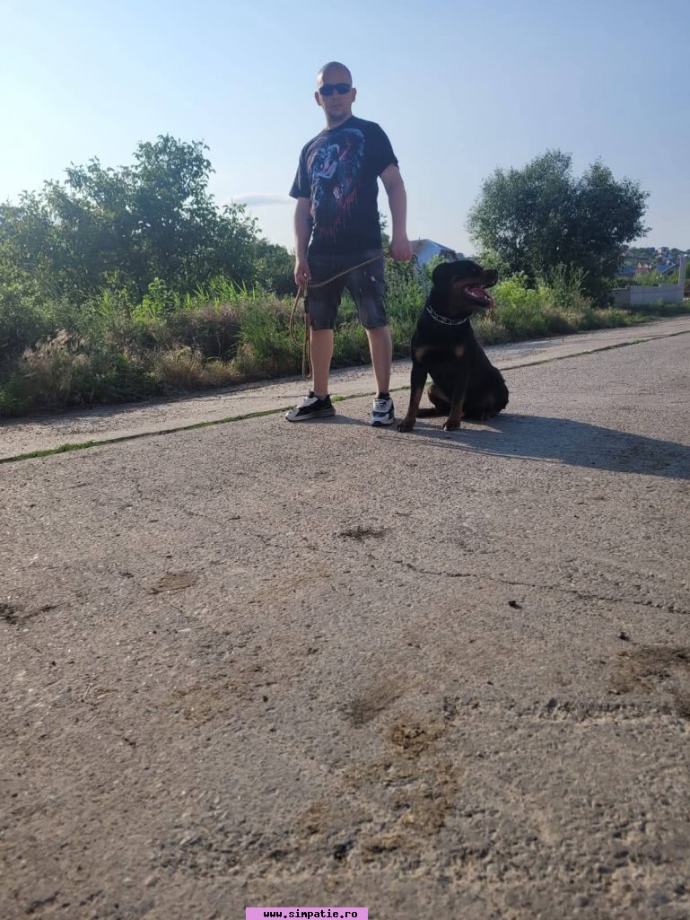 barbati singuri pascani