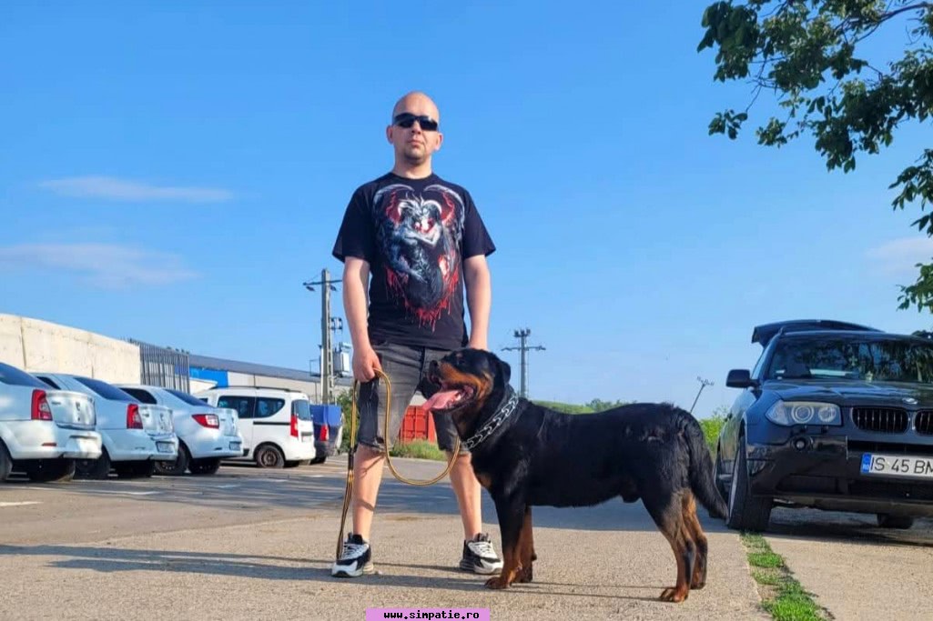 barbati singuri pascani