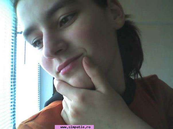 curve in valea lui mihai