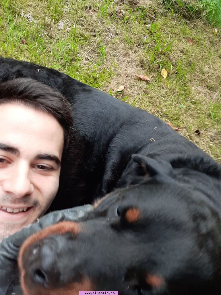 barbati singuri cisnadie