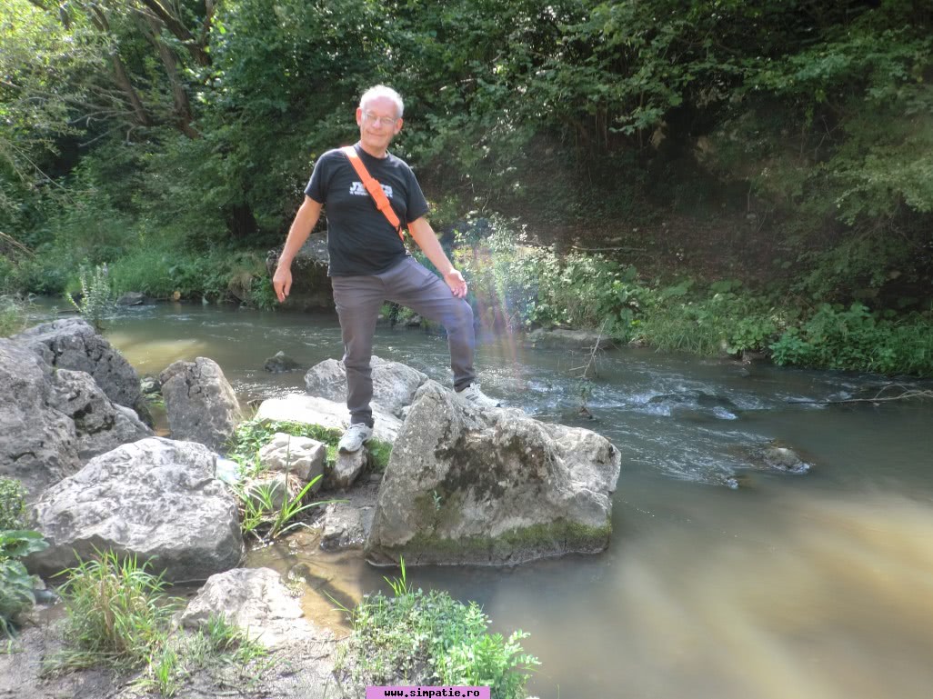 chat online fara cont