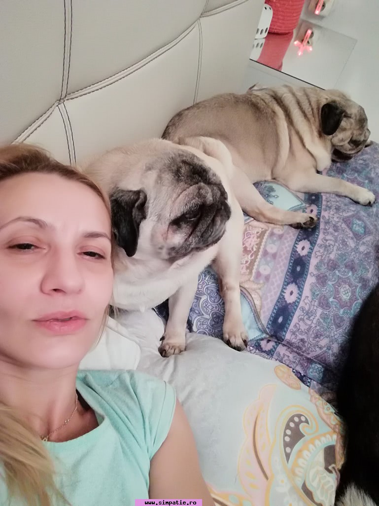 escorte drumul taberei