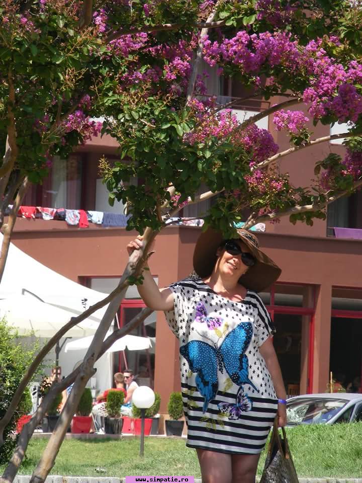 relatii Orastie