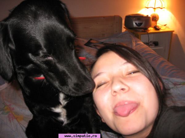 curve ieftine suceava