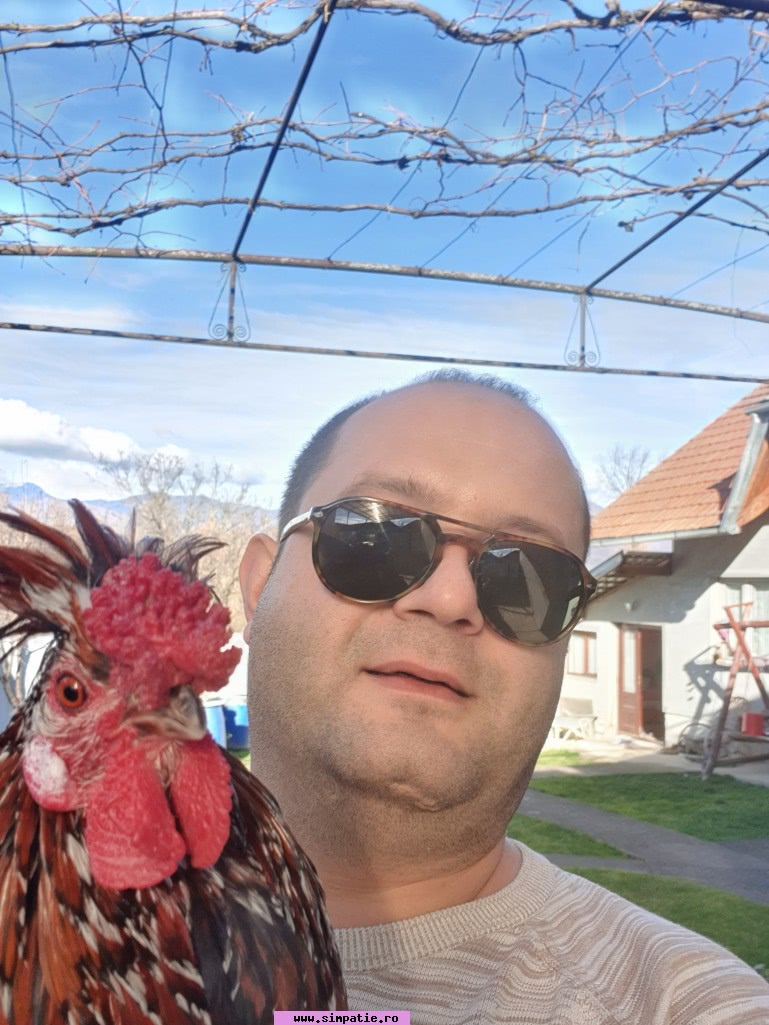 gigolo valea lui mihai